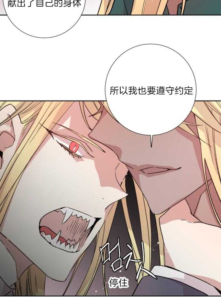 《巫师与狼》漫画最新章节第117话 你被骗了免费下拉式在线观看章节第【7】张图片