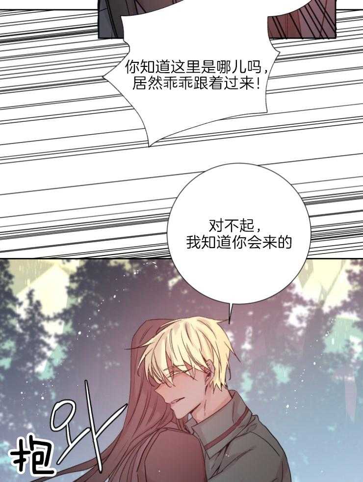 《巫师与狼》漫画最新章节第119话 关我屁事免费下拉式在线观看章节第【27】张图片