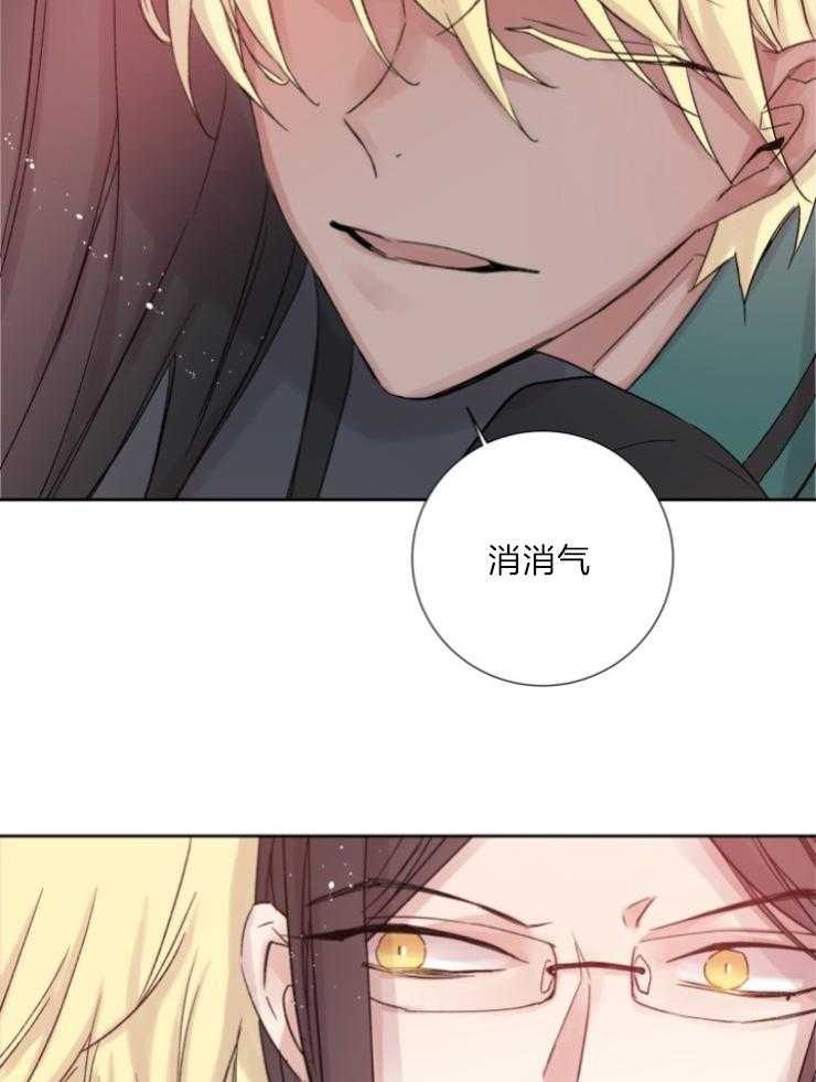 《巫师与狼》漫画最新章节第119话 关我屁事免费下拉式在线观看章节第【25】张图片