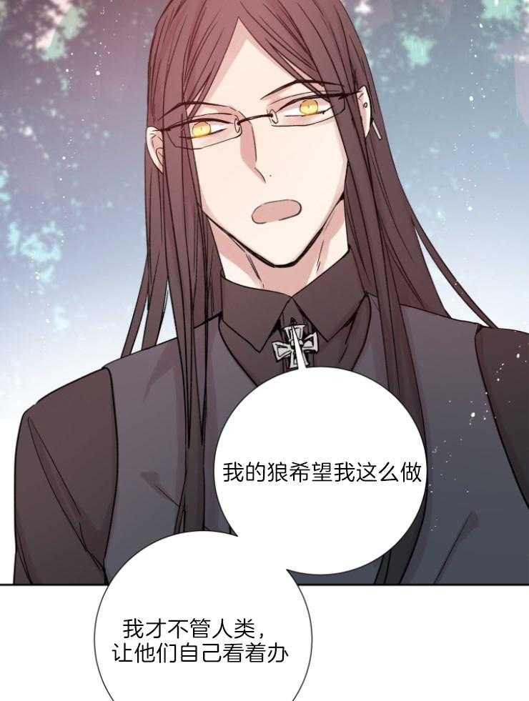 《巫师与狼》漫画最新章节第119话 关我屁事免费下拉式在线观看章节第【11】张图片