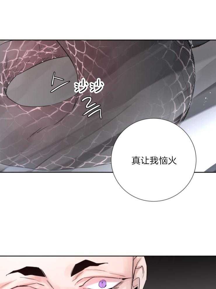 《巫师与狼》漫画最新章节第120话 原来是妖免费下拉式在线观看章节第【18】张图片