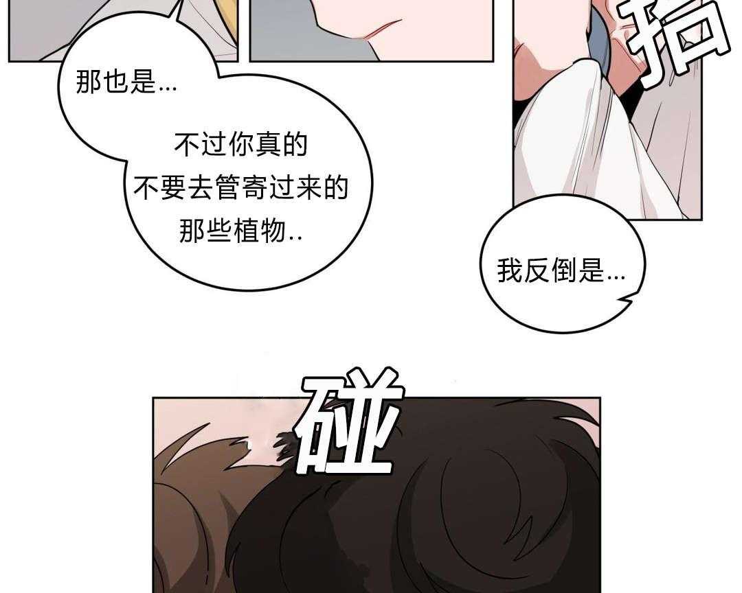 《无声体验》漫画最新章节第29话 29_盆栽免费下拉式在线观看章节第【38】张图片