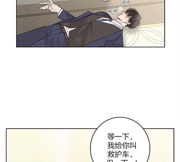 《炒豆子会发芽吗》漫画最新章节第2话 2_是那时的阿尔法免费下拉式在线观看章节第【5】张图片