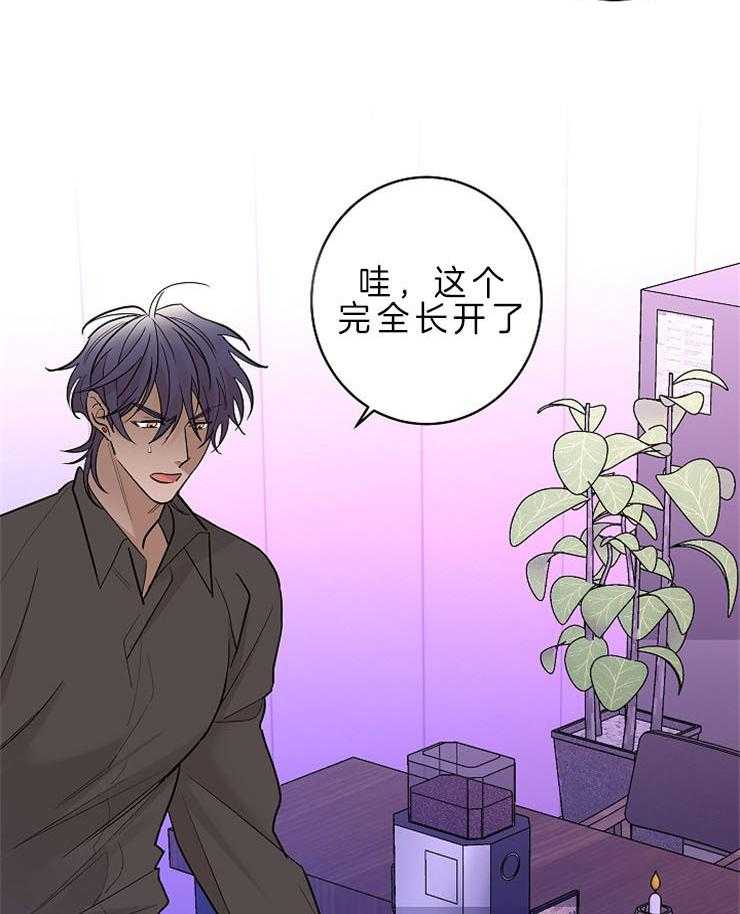 《炒豆子会发芽吗》漫画最新章节第13话 13_成为你特别的人免费下拉式在线观看章节第【23】张图片