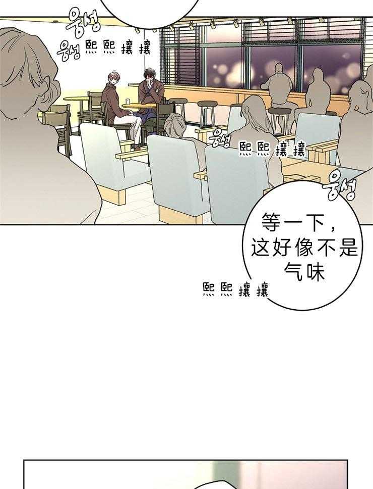 《炒豆子会发芽吗》漫画最新章节第23话 不想再有错觉免费下拉式在线观看章节第【11】张图片