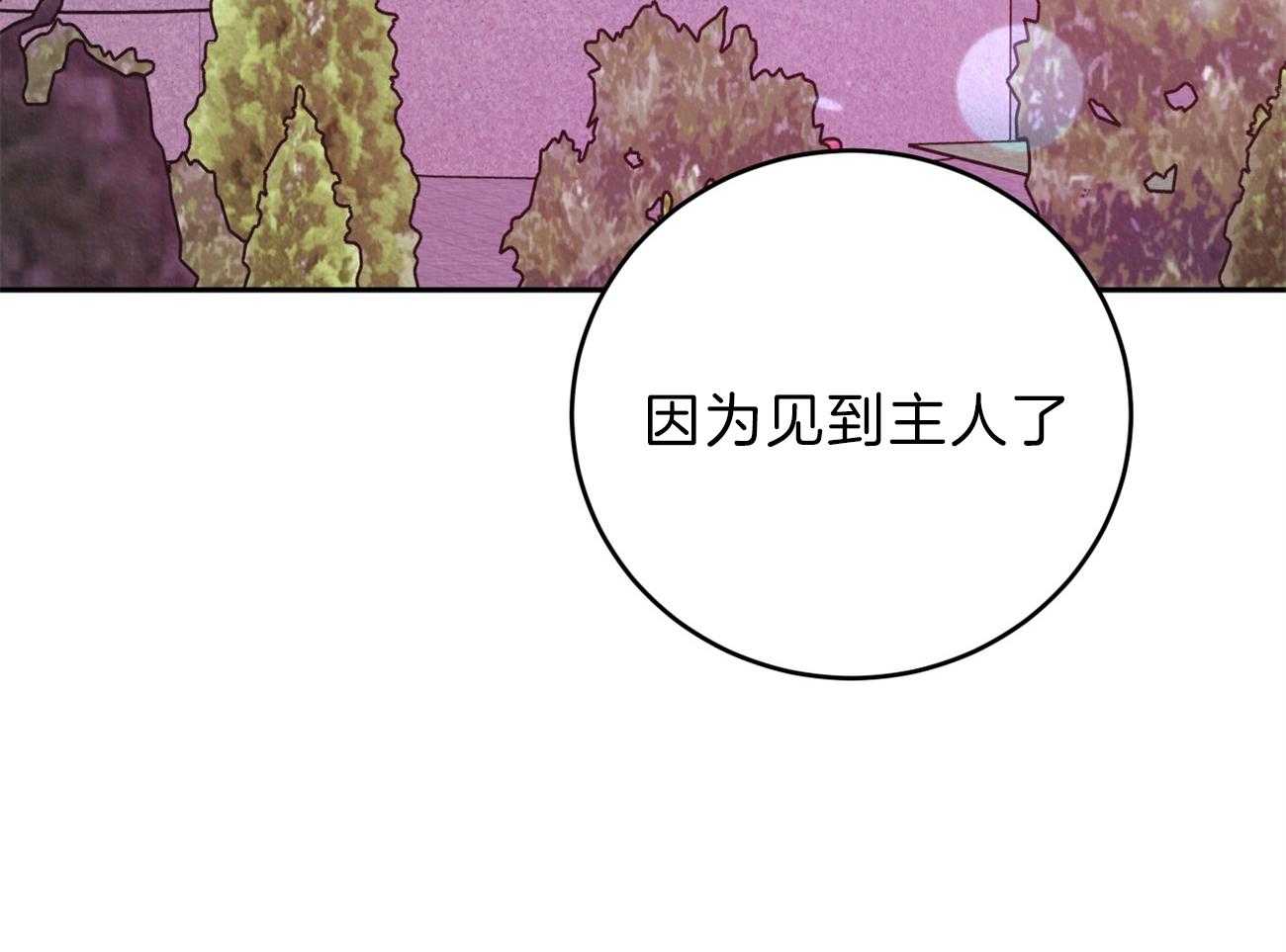 《厚颜无耻》漫画最新章节第37话 皇帝是无耻的免费下拉式在线观看章节第【56】张图片