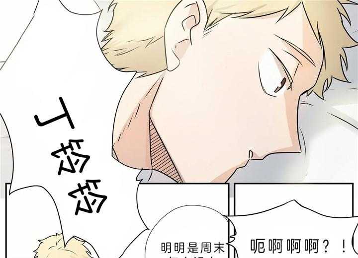 《谁要和杀手当室友》漫画最新章节第4话 4_无法接受现实免费下拉式在线观看章节第【6】张图片