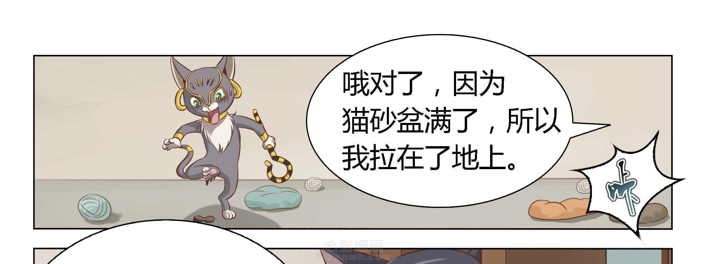 《喵即正义》漫画最新章节第1话 1免费下拉式在线观看章节第【56】张图片