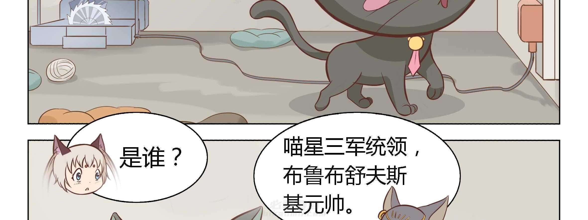 《喵即正义》漫画最新章节第2话 2免费下拉式在线观看章节第【42】张图片