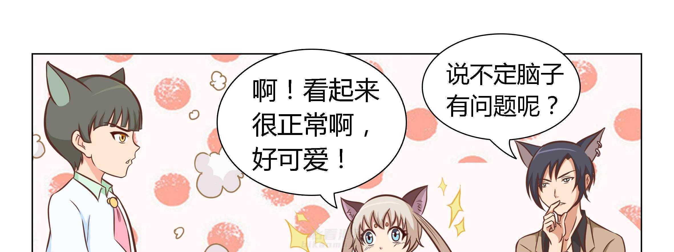 《喵即正义》漫画最新章节第2话 2免费下拉式在线观看章节第【20】张图片