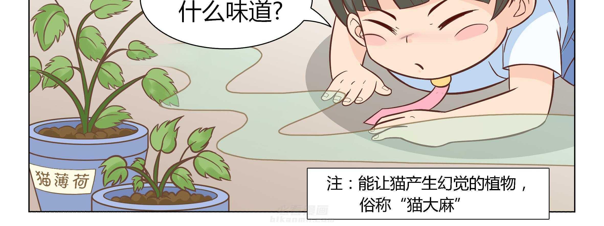 《喵即正义》漫画最新章节第3话 3免费下拉式在线观看章节第【66】张图片