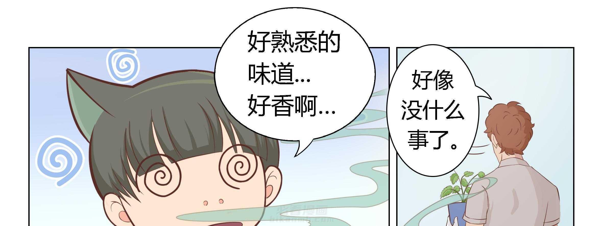 《喵即正义》漫画最新章节第4话 4免费下拉式在线观看章节第【12】张图片