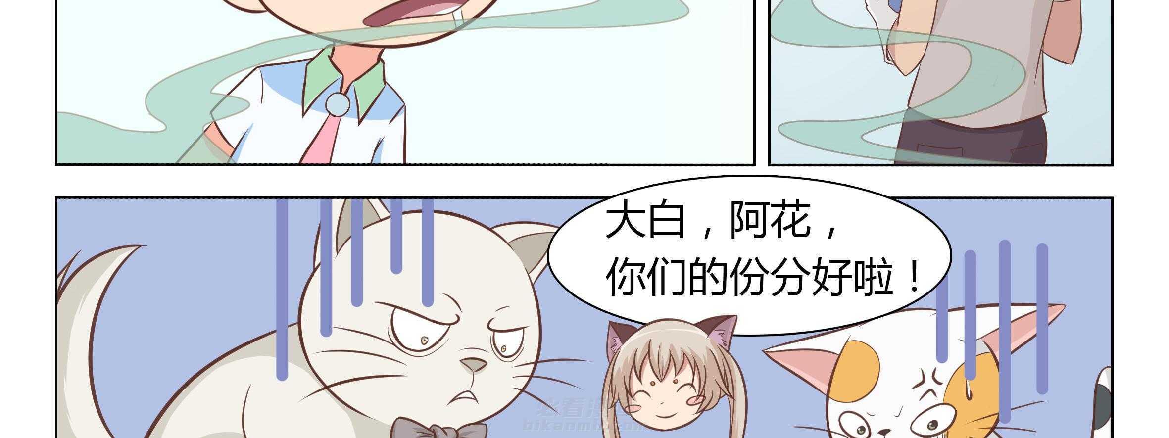 《喵即正义》漫画最新章节第4话 4免费下拉式在线观看章节第【11】张图片