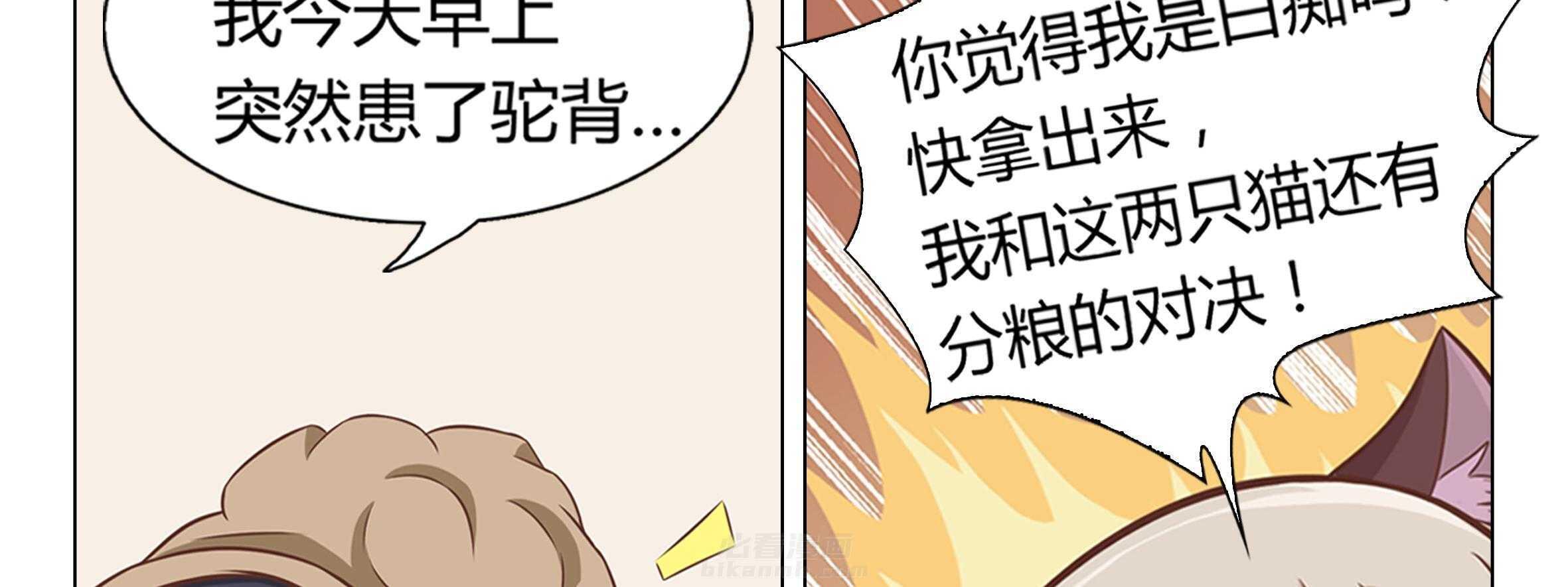 《喵即正义》漫画最新章节第5话 5免费下拉式在线观看章节第【90】张图片