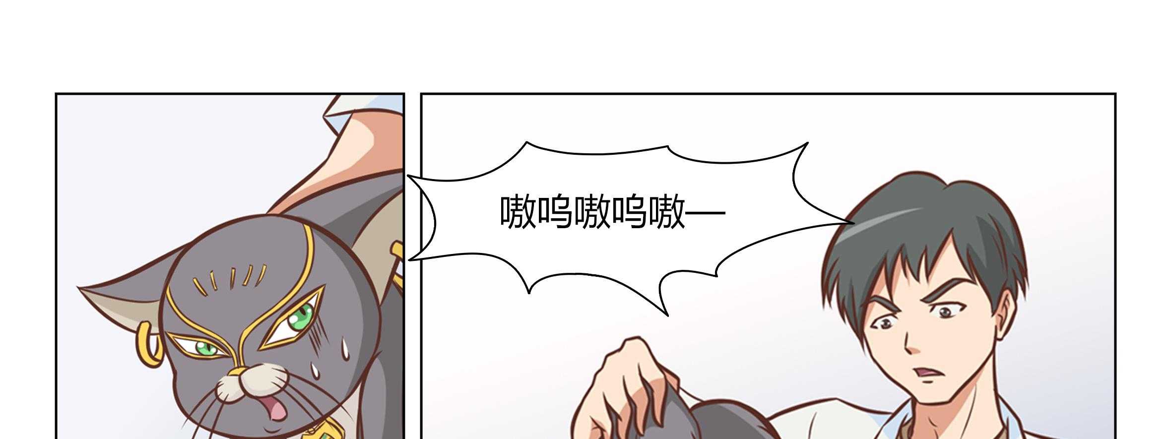 《喵即正义》漫画最新章节第6话 6免费下拉式在线观看章节第【60】张图片