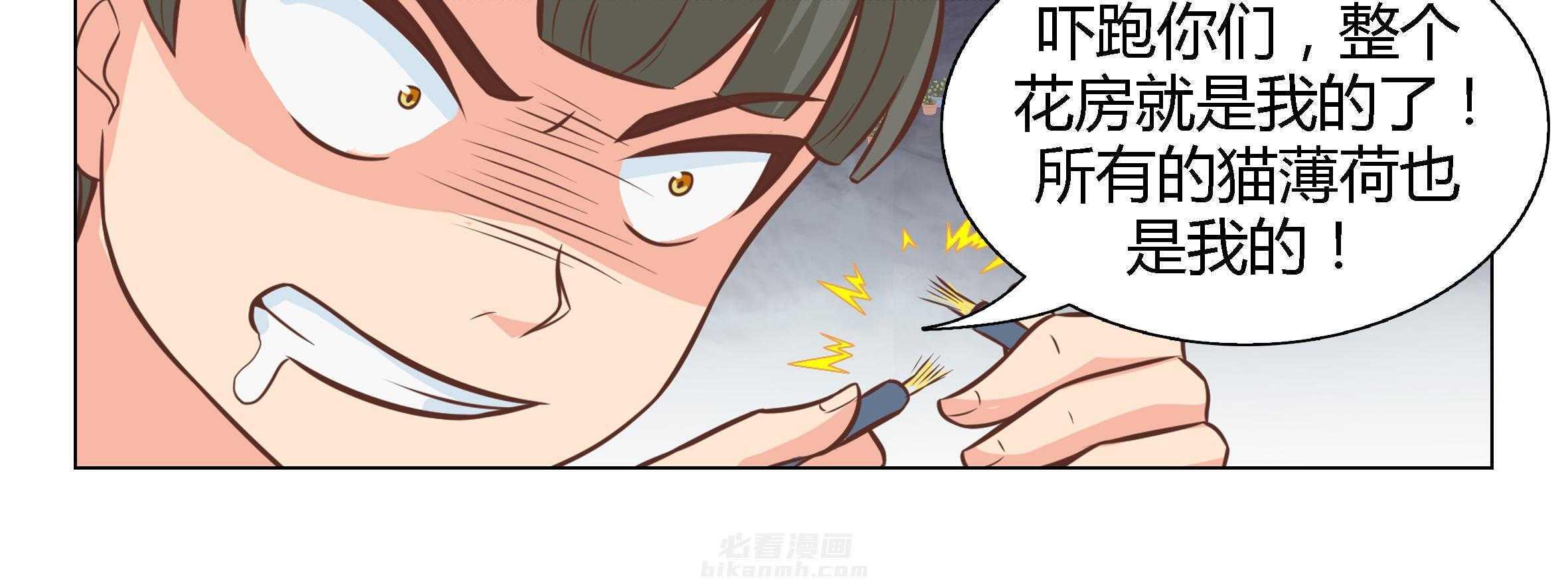 《喵即正义》漫画最新章节第10话 10免费下拉式在线观看章节第【9】张图片