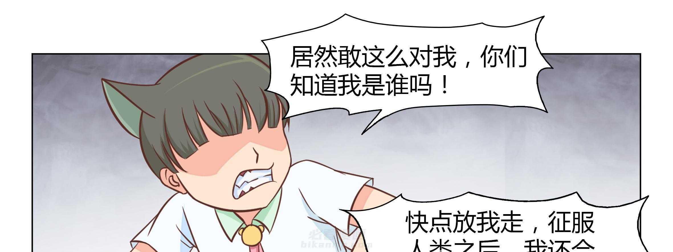 《喵即正义》漫画最新章节第11话 11免费下拉式在线观看章节第【32】张图片