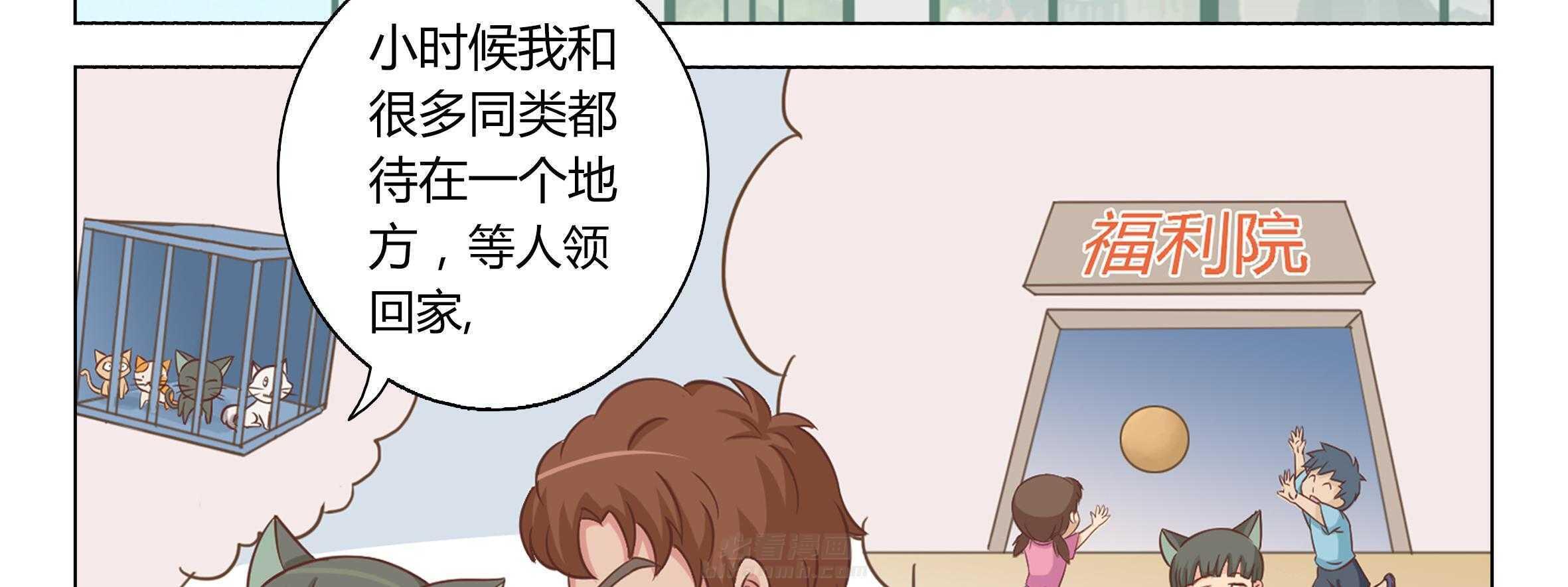 《喵即正义》漫画最新章节第11话 11免费下拉式在线观看章节第【11】张图片