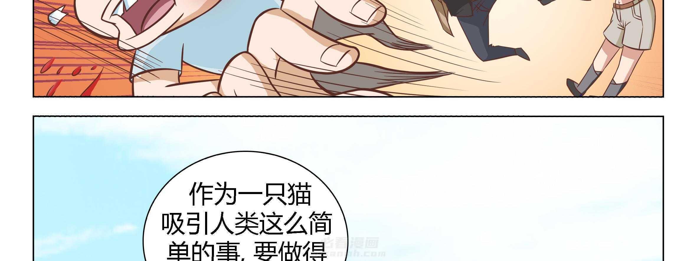 《喵即正义》漫画最新章节第13话 13免费下拉式在线观看章节第【7】张图片