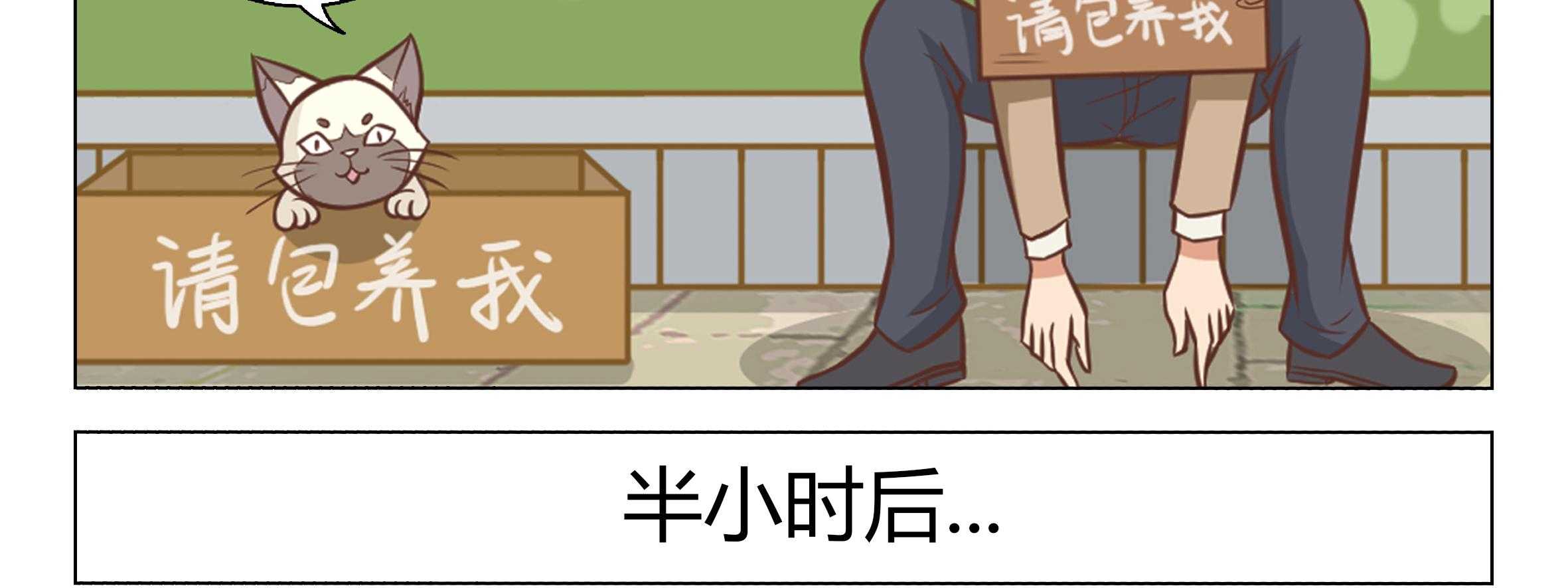 《喵即正义》漫画最新章节第15话 15免费下拉式在线观看章节第【34】张图片