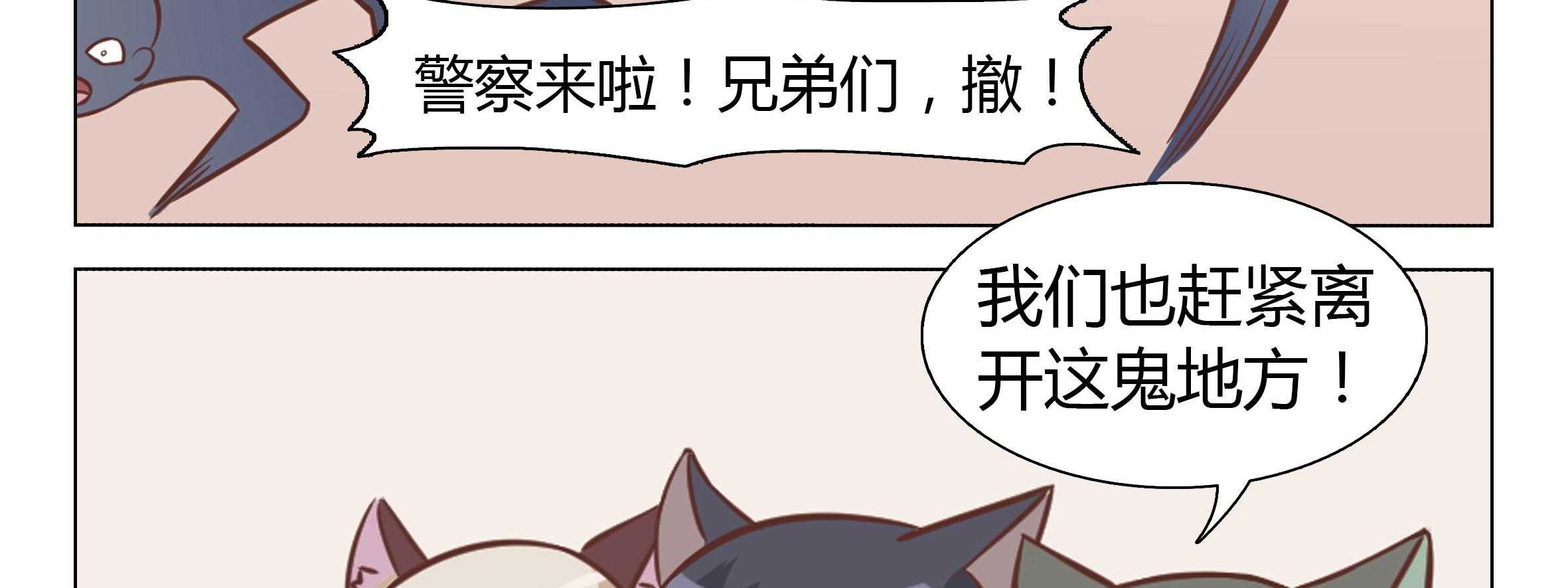 《喵即正义》漫画最新章节第19话 19免费下拉式在线观看章节第【75】张图片