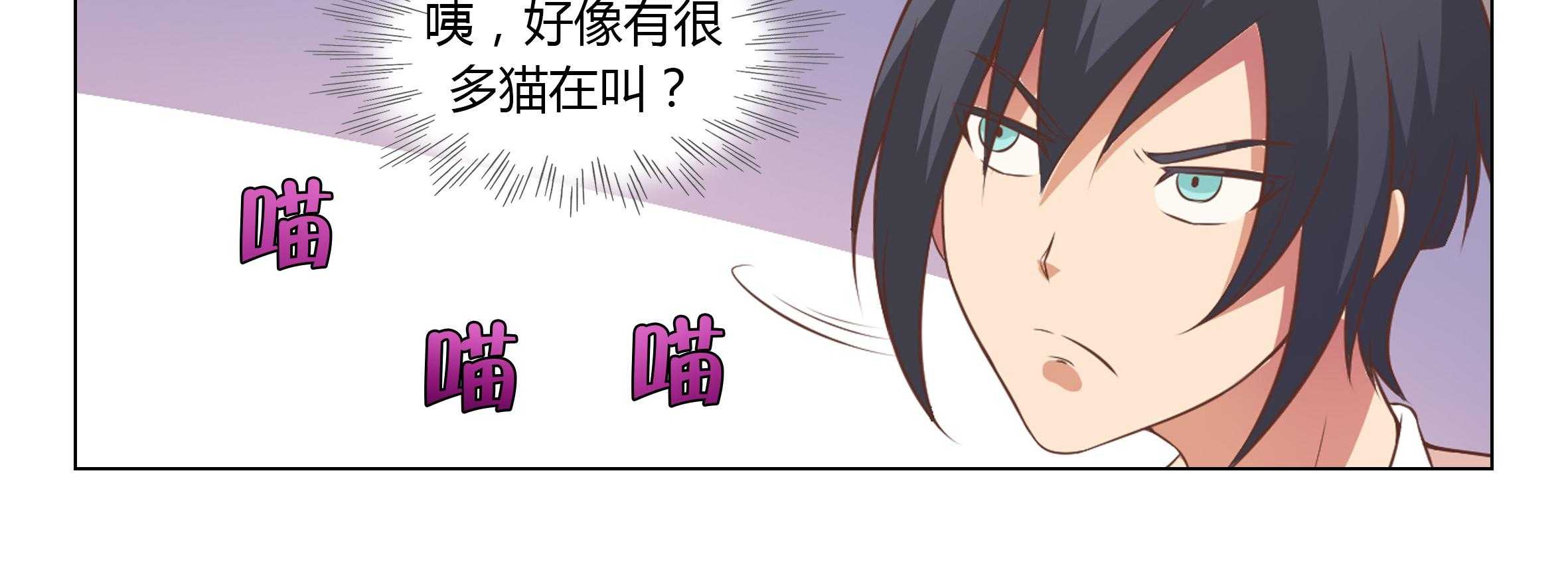 《喵即正义》漫画最新章节第29话 29免费下拉式在线观看章节第【81】张图片