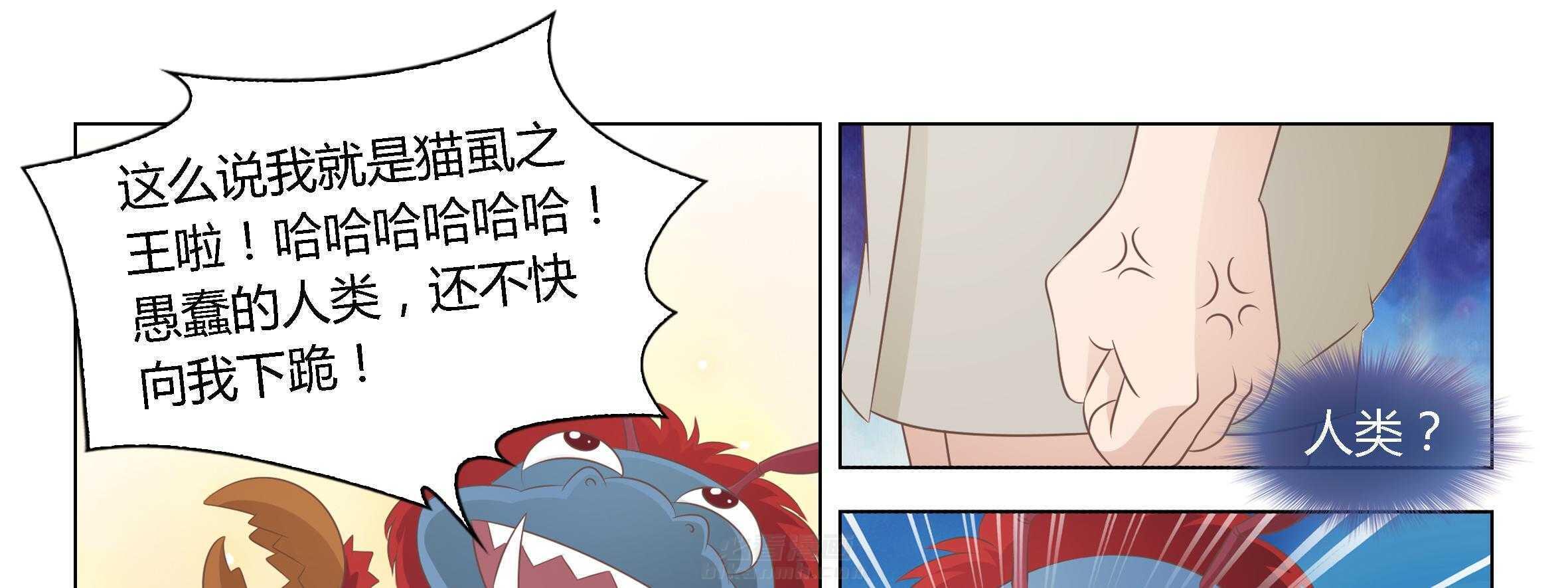 《喵即正义》漫画最新章节第37话 37免费下拉式在线观看章节第【84】张图片