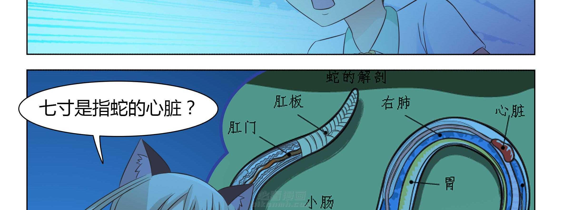 《喵即正义》漫画最新章节第55话 55免费下拉式在线观看章节第【23】张图片