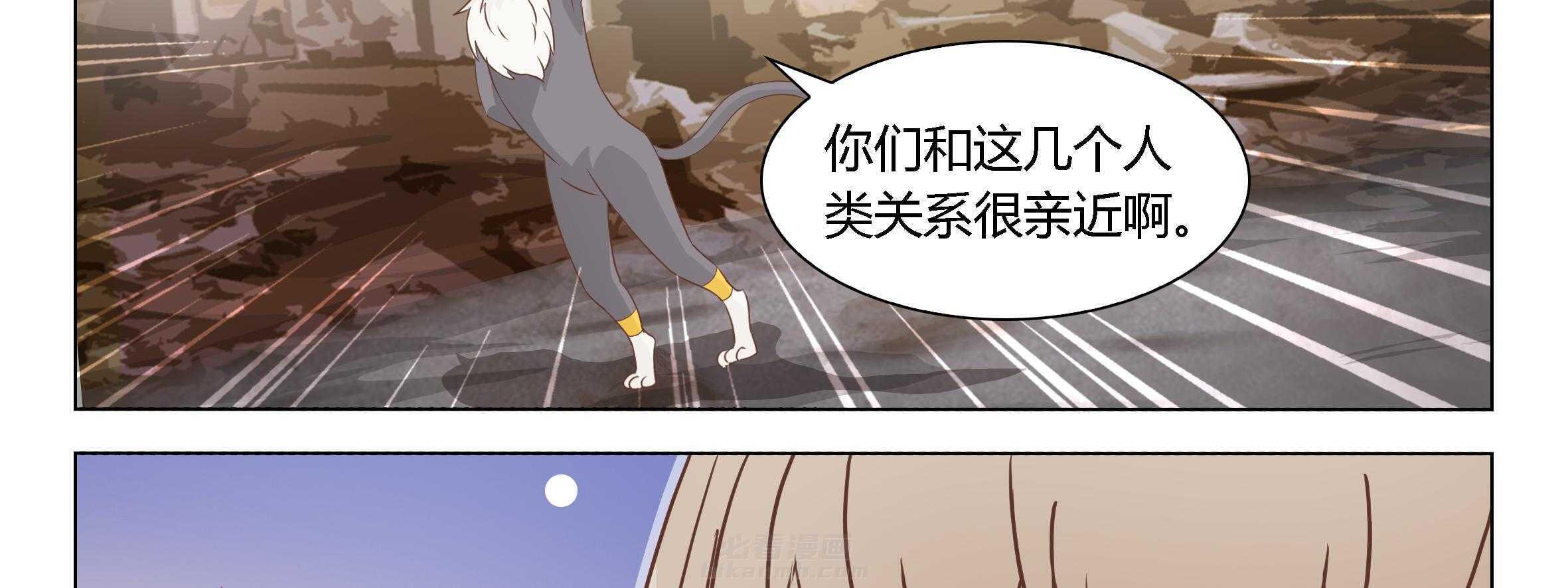 《喵即正义》漫画最新章节第75话 75免费下拉式在线观看章节第【19】张图片