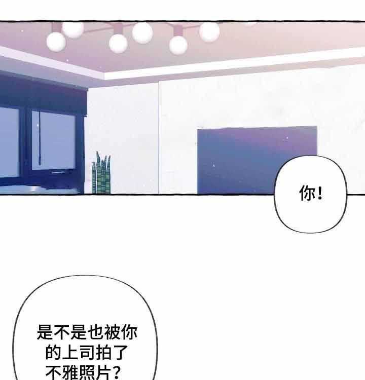 《这里禁止偷拍》漫画最新章节第32话 信息素免费下拉式在线观看章节第【33】张图片