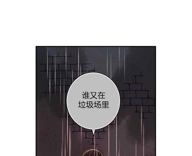 《捡只毛毛做老攻》漫画最新章节第1话 1_捡到免费下拉式在线观看章节第【32】张图片