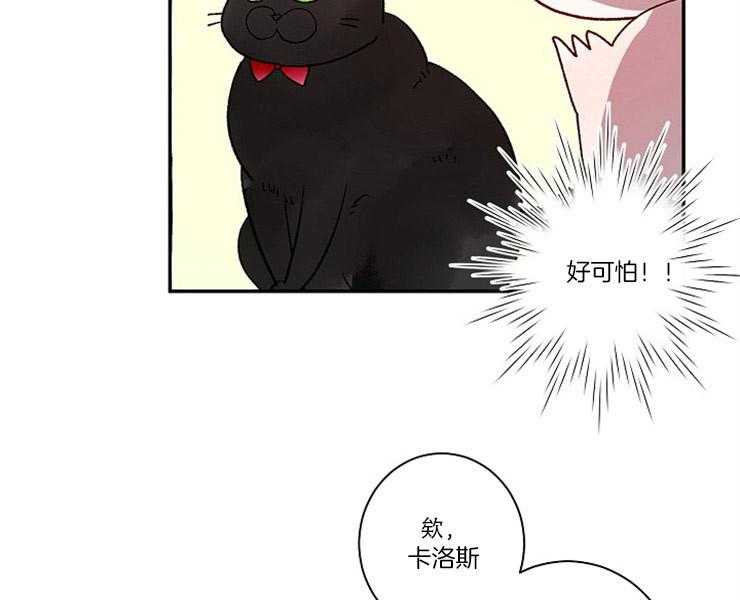 《捡只毛毛做老攻》漫画最新章节第1话 1_捡到免费下拉式在线观看章节第【7】张图片