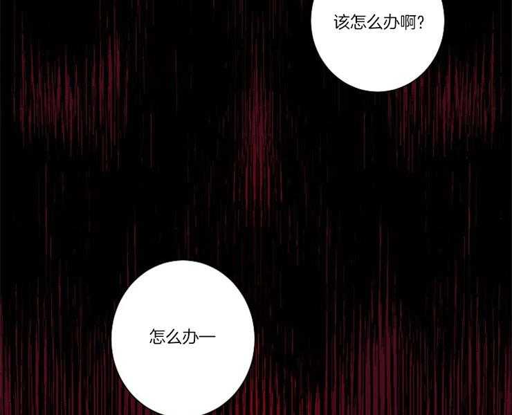 《捡只毛毛做老攻》漫画最新章节第1话 1_捡到免费下拉式在线观看章节第【25】张图片