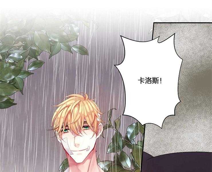 《捡只毛毛做老攻》漫画最新章节第3话 3_差错免费下拉式在线观看章节第【3】张图片