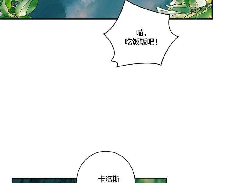 《捡只毛毛做老攻》漫画最新章节第3话 3_差错免费下拉式在线观看章节第【38】张图片