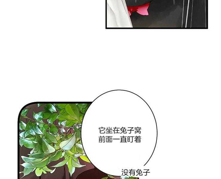 《捡只毛毛做老攻》漫画最新章节第4话 4_我到底是谁免费下拉式在线观看章节第【34】张图片