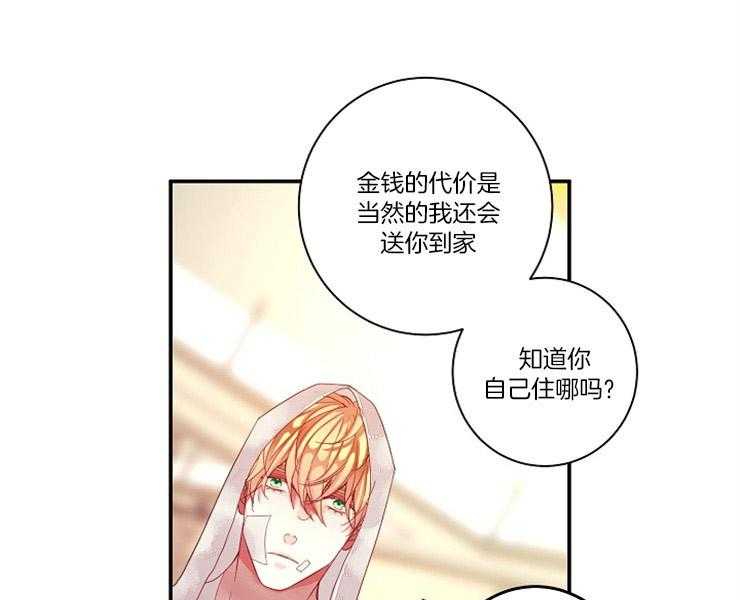 《捡只毛毛做老攻》漫画最新章节第4话 4_我到底是谁免费下拉式在线观看章节第【13】张图片