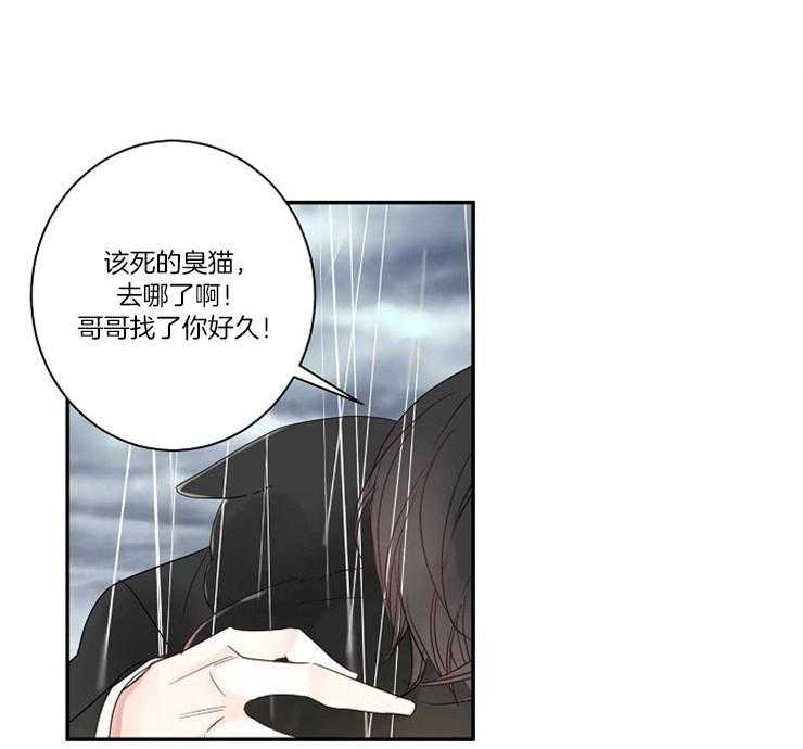 《捡只毛毛做老攻》漫画最新章节第4话 4_我到底是谁免费下拉式在线观看章节第【36】张图片