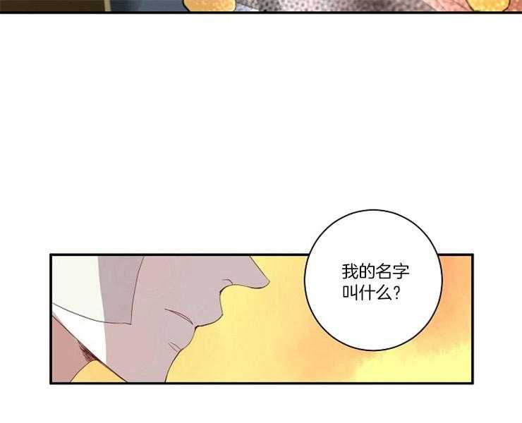 《捡只毛毛做老攻》漫画最新章节第4话 4_我到底是谁免费下拉式在线观看章节第【8】张图片