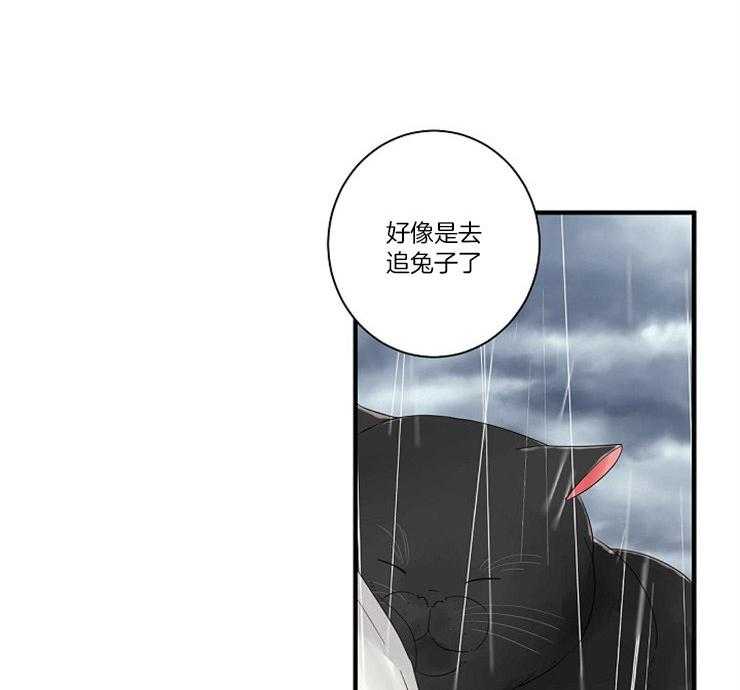 《捡只毛毛做老攻》漫画最新章节第4话 4_我到底是谁免费下拉式在线观看章节第【35】张图片