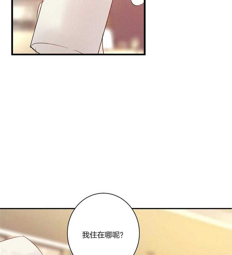 《捡只毛毛做老攻》漫画最新章节第4话 4_我到底是谁免费下拉式在线观看章节第【10】张图片