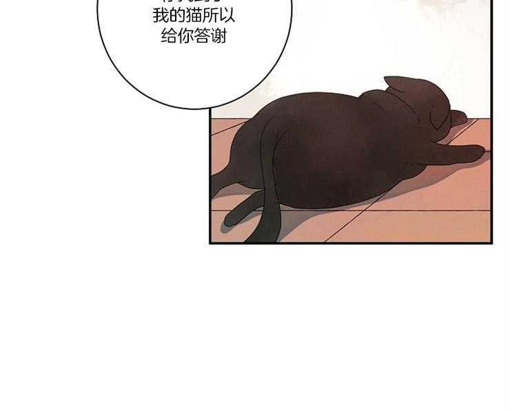 《捡只毛毛做老攻》漫画最新章节第4话 4_我到底是谁免费下拉式在线观看章节第【14】张图片