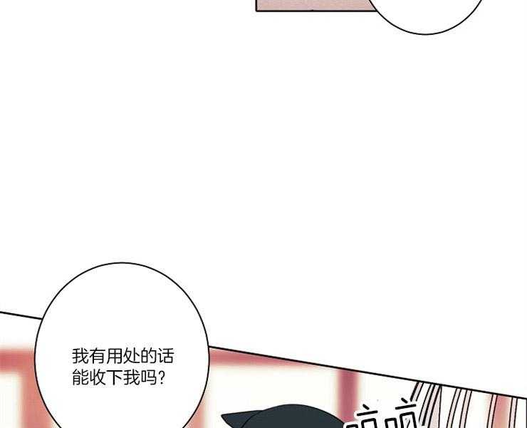 《捡只毛毛做老攻》漫画最新章节第6话 6_请收留我免费下拉式在线观看章节第【5】张图片