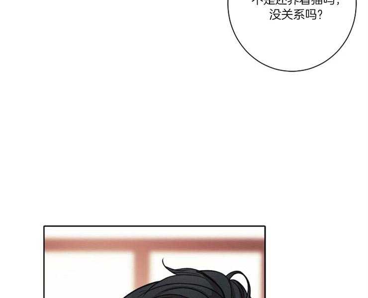 《捡只毛毛做老攻》漫画最新章节第6话 6_请收留我免费下拉式在线观看章节第【20】张图片