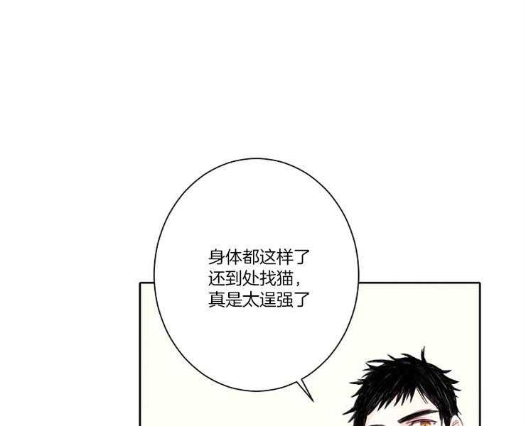 《捡只毛毛做老攻》漫画最新章节第6话 6_请收留我免费下拉式在线观看章节第【48】张图片