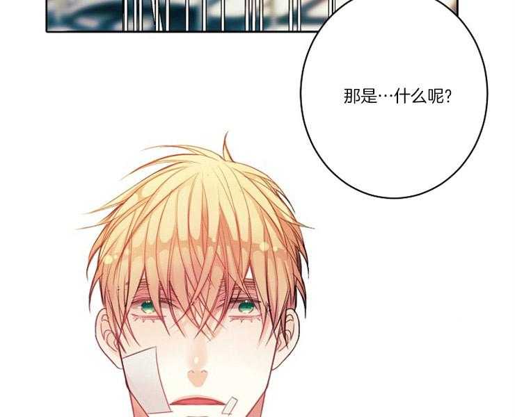 《捡只毛毛做老攻》漫画最新章节第6话 6_请收留我免费下拉式在线观看章节第【26】张图片