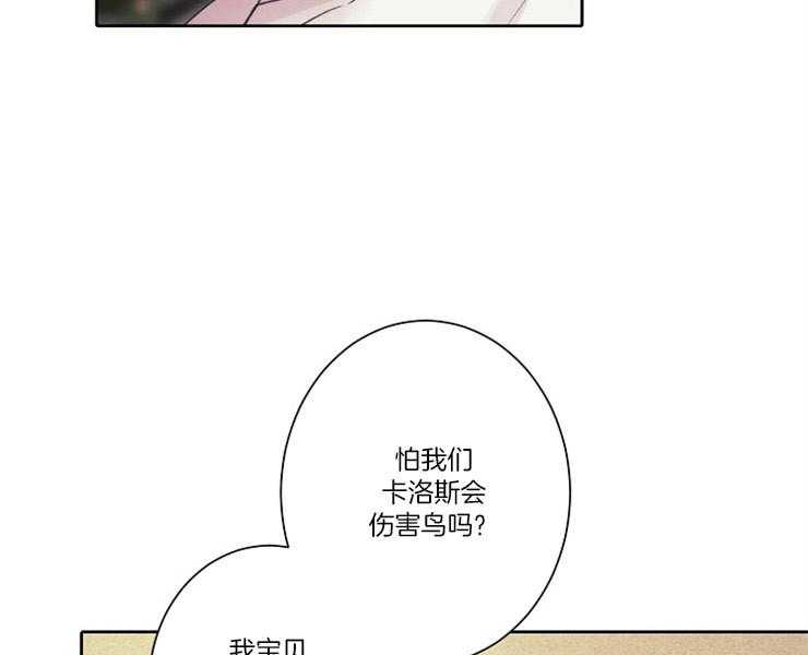 《捡只毛毛做老攻》漫画最新章节第6话 6_请收留我免费下拉式在线观看章节第【18】张图片