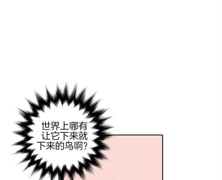 《捡只毛毛做老攻》漫画最新章节第8话 8_让我做你的狗免费下拉式在线观看章节第【40】张图片