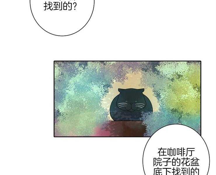 《捡只毛毛做老攻》漫画最新章节第8话 8_让我做你的狗免费下拉式在线观看章节第【46】张图片