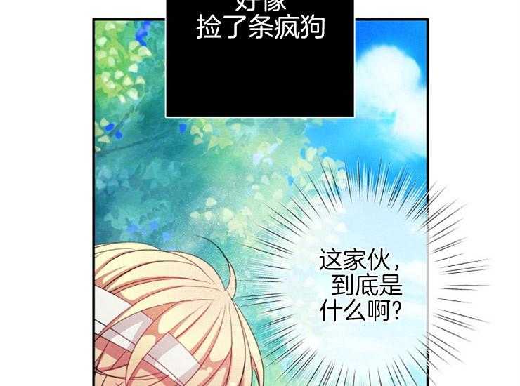 《捡只毛毛做老攻》漫画最新章节第12话 12_亚历山大免费下拉式在线观看章节第【42】张图片